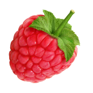 Raspberry