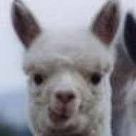 TheAlpacaMan