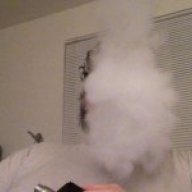 vaP3L0rD?