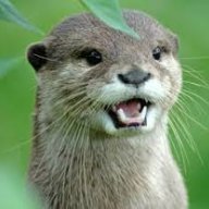 Otter98